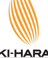 Ki – Hara Resistance Stretching